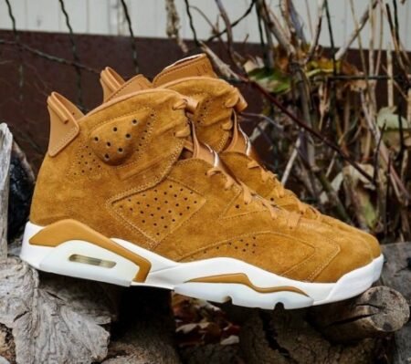Jordan 6 Golden Harvest