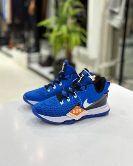 Nike Lebron Witness V Game Royal blue